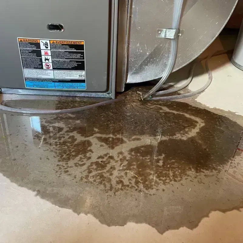 Appliance Leak Cleanup in Concordia, MO